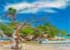 Where to stay in Treasure Beach