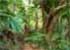 Where to stay and sightseeing in Vallee-de-Mai, Seychelles